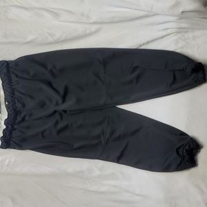 Champion Sports, Baseball Pants-Adult L